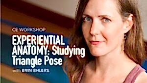 CE Workshop | Experiential Anatomy: Studying Triangle Pose