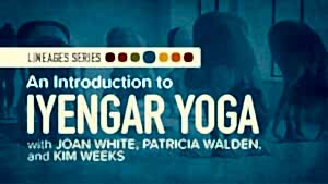 Yoga Lineages | An Introduction to Iyengar Yoga