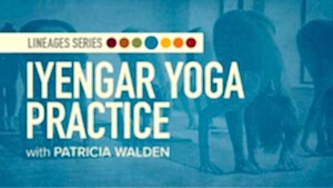 Yoga Lineages | Iyengar Yoga Practice