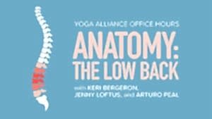 Yoga Alliance Office Hours | Anatomy: The Low Back